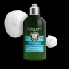 Après-Shampoing Fraicheur Purifiante 250Ml