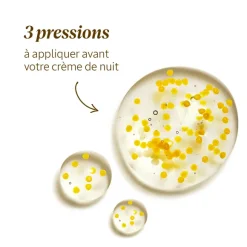 Éco-Recharge Immortelle Reset Nuit Huile-En-Sérum
