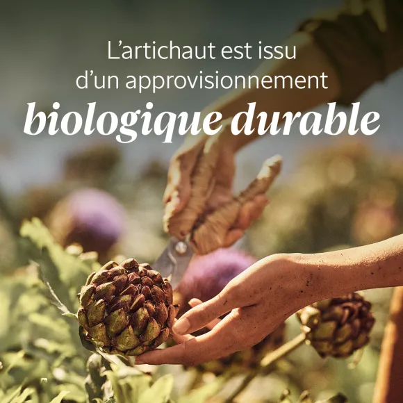 Crème De Massage Artichaut