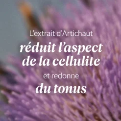 Gommage Corps Artichaut