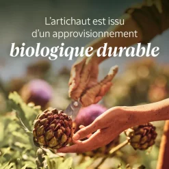 Gommage Corps Artichaut