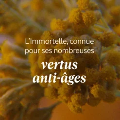 Sérum-En-Crème Soin Jeunesse Mains Karite